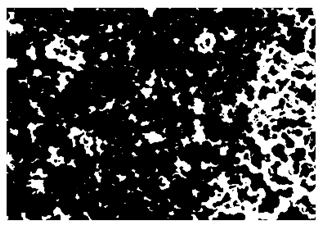 Nanomaterials 10 01489 i010