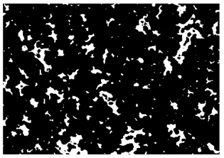 Nanomaterials 10 01489 i011