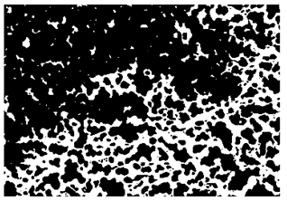 Nanomaterials 10 01489 i012