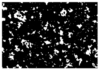 Nanomaterials 10 01489 i013