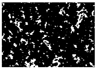 Nanomaterials 10 01489 i014