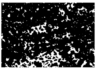 Nanomaterials 10 01489 i015