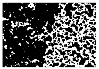 Nanomaterials 10 01489 i018