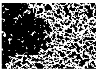Nanomaterials 10 01489 i019