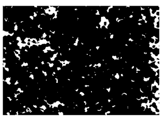 Nanomaterials 10 01489 i020