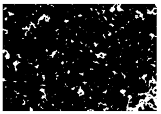 Nanomaterials 10 01489 i021