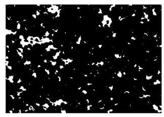 Nanomaterials 10 01489 i022