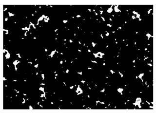 Nanomaterials 10 01489 i023