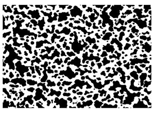 Nanomaterials 10 01489 i024