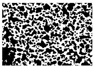 Nanomaterials 10 01489 i028