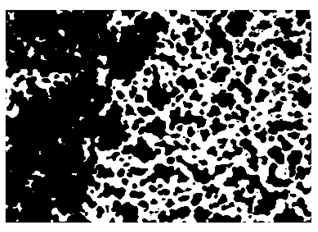 Nanomaterials 10 01489 i030