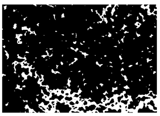 Nanomaterials 10 01489 i031