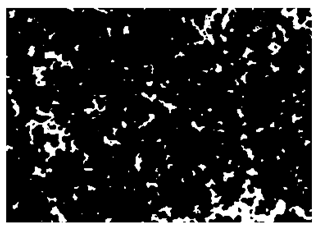 Nanomaterials 10 01489 i033