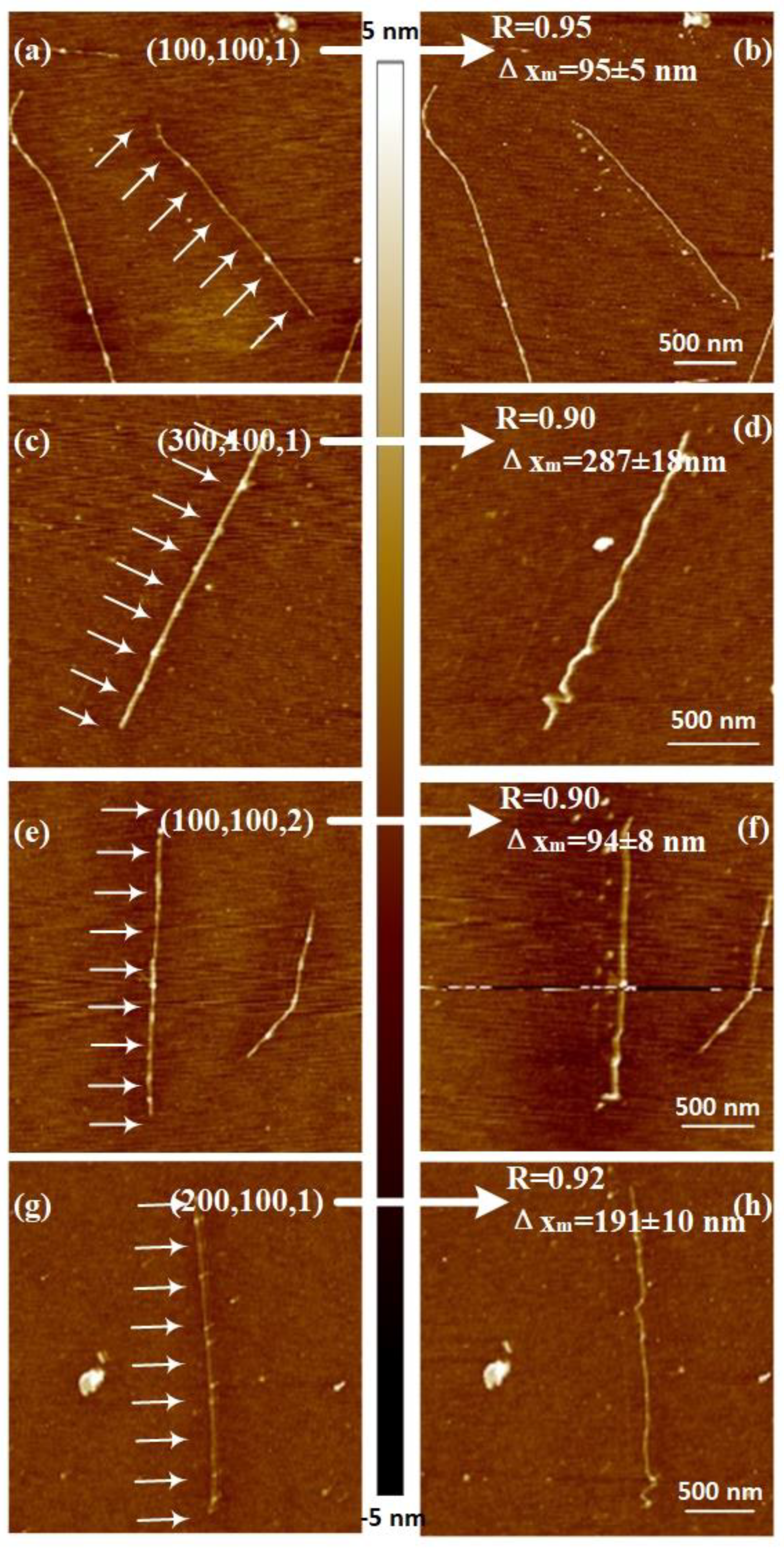 Nanomaterials 10 01494 g006 Nanomaterials 10 01494 g006