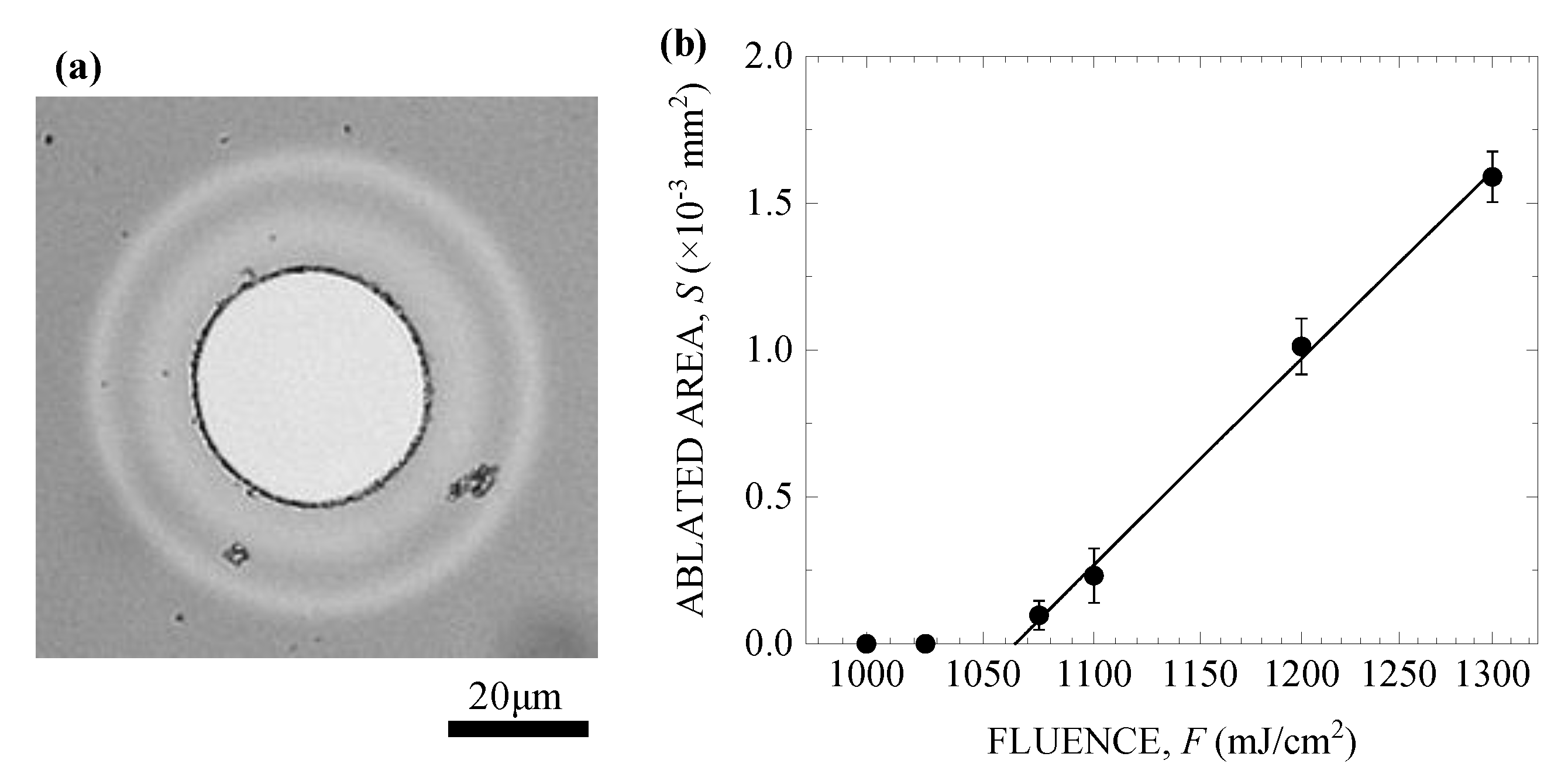 Nanomaterials 10 01495 g003 Nanomaterials 10 01495 g003