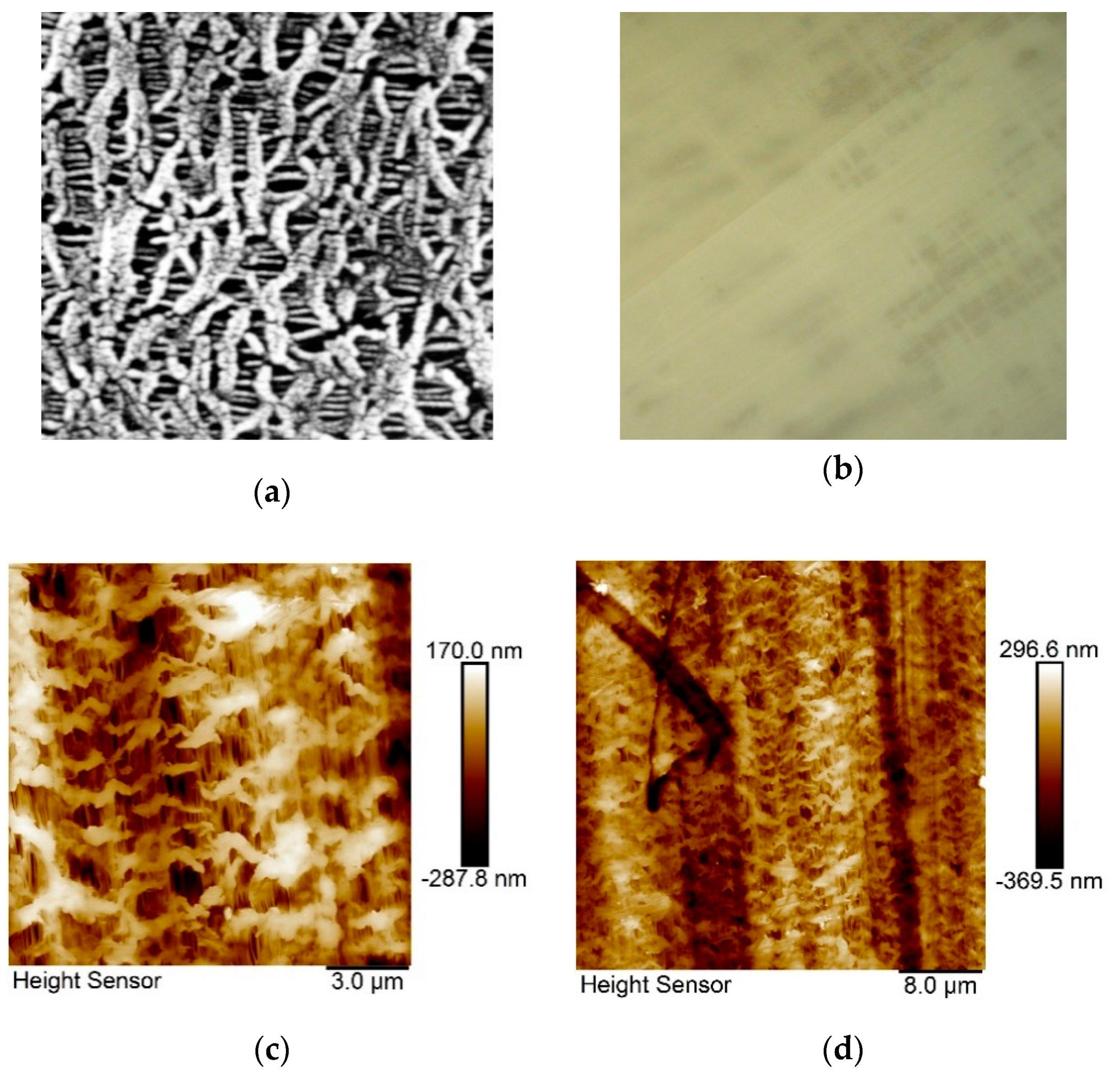 Nanomaterials 10 01498 g001 Nanomaterials 10 01498 g001