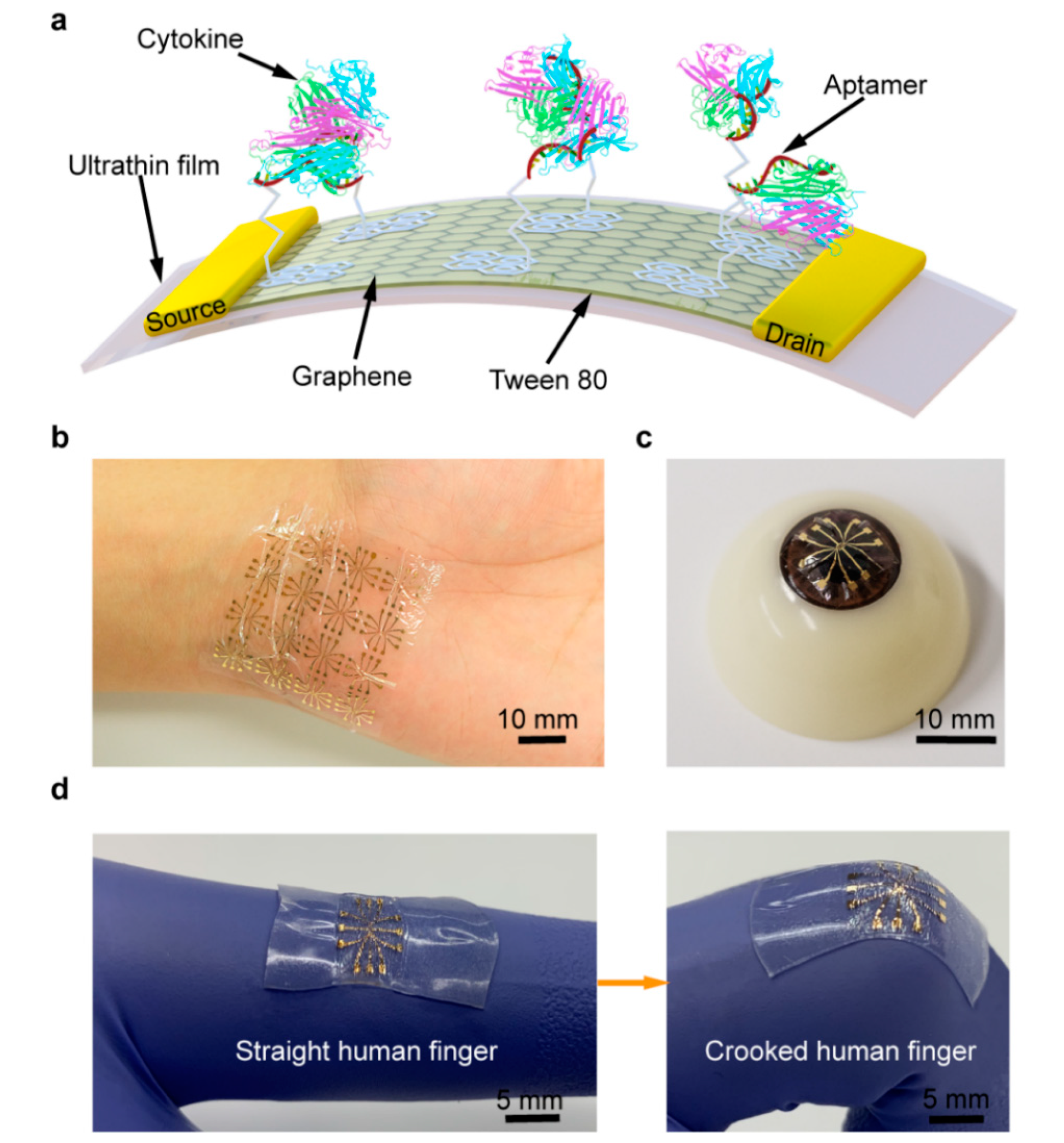 Nanomaterials 10 01503 g001 Nanomaterials 10 01503 g001