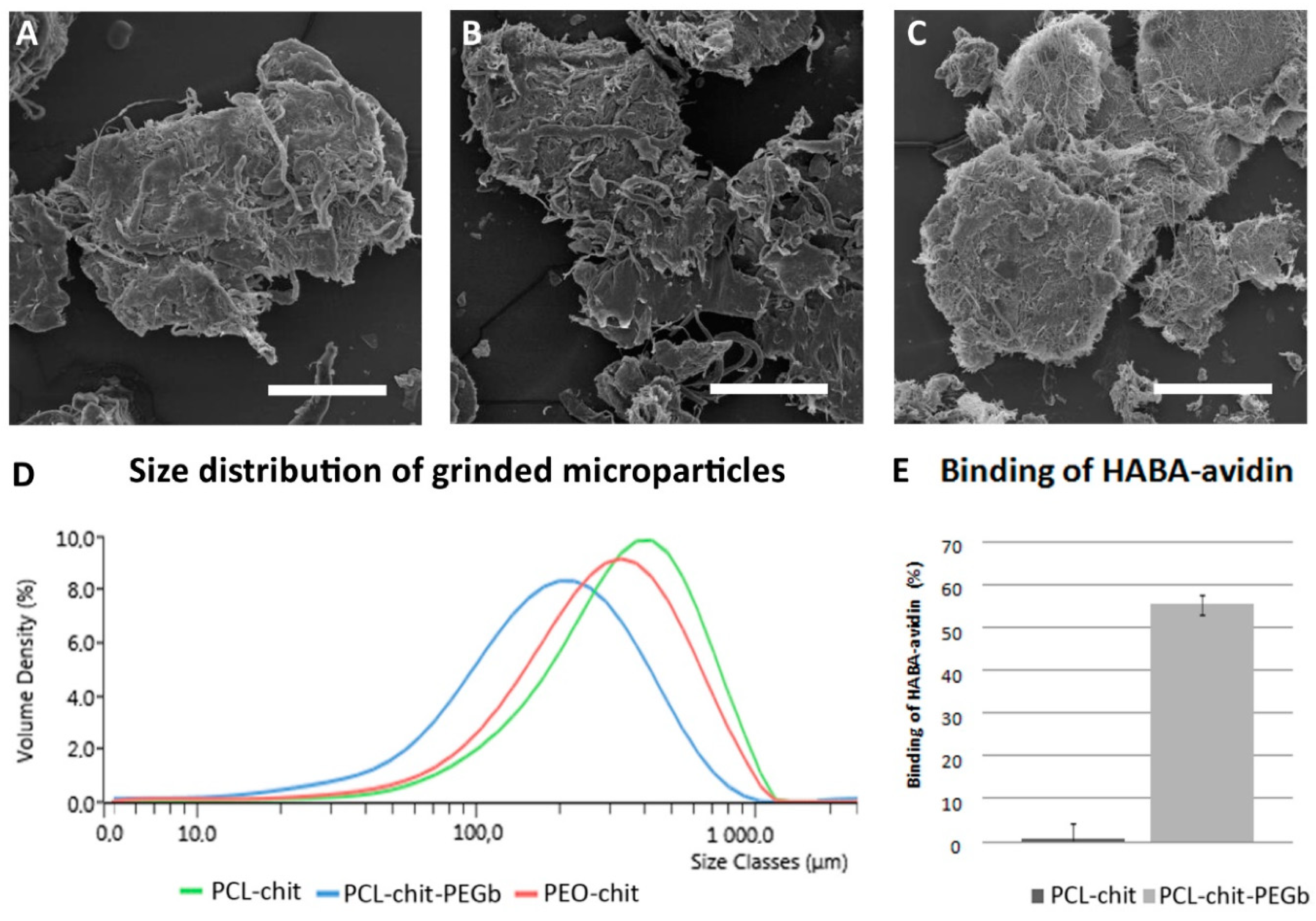 Nanomaterials 10 01504 g004 Nanomaterials 10 01504 g004