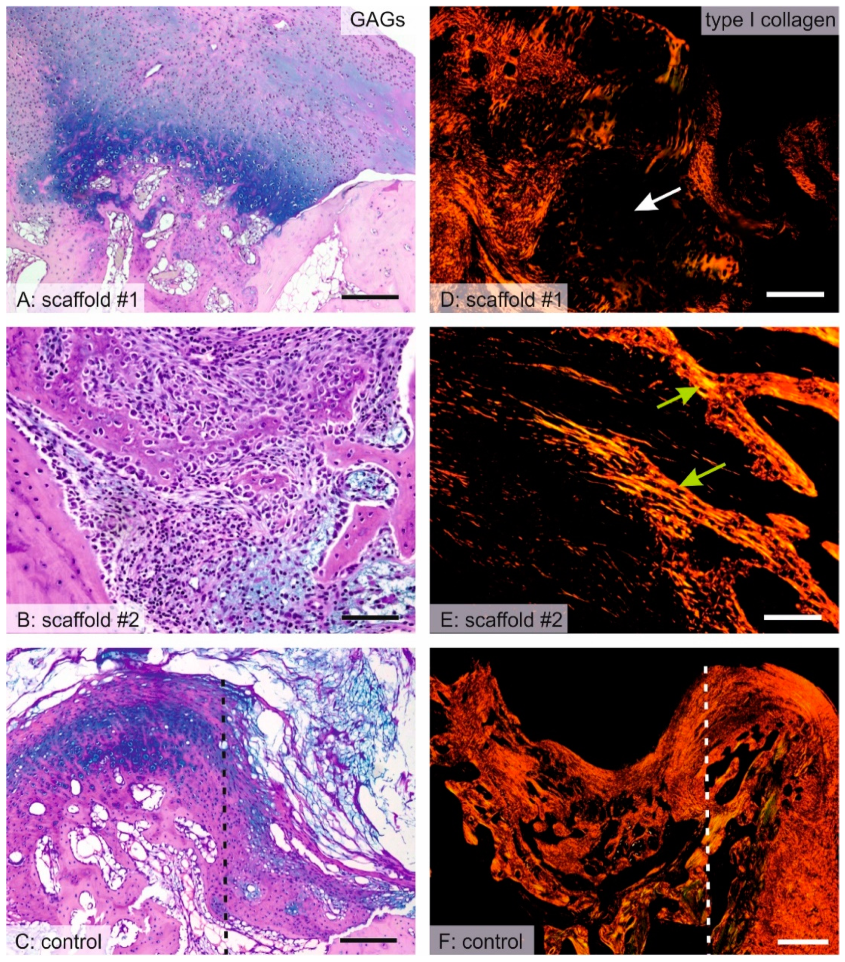 Nanomaterials 10 01504 g007 Nanomaterials 10 01504 g007