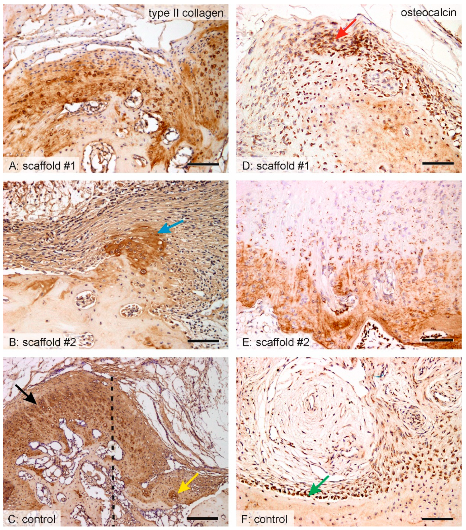 Nanomaterials 10 01504 g008 Nanomaterials 10 01504 g008
