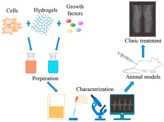Nanomaterials | Free Full-Text | Hydrogel as a Biomaterial for Bone Tissue  Engineering: A Review