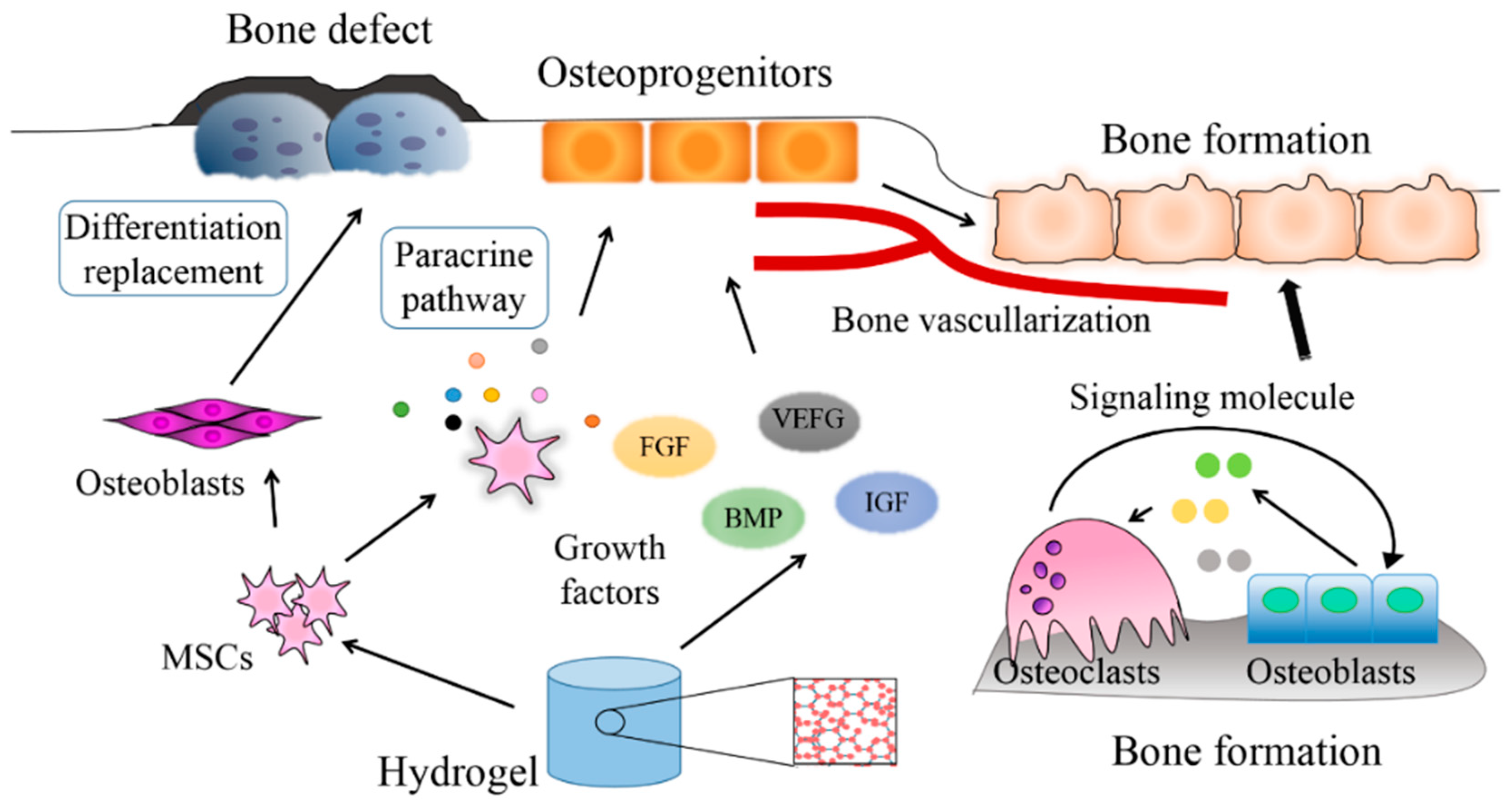 Nanomaterials 10 01511 g002