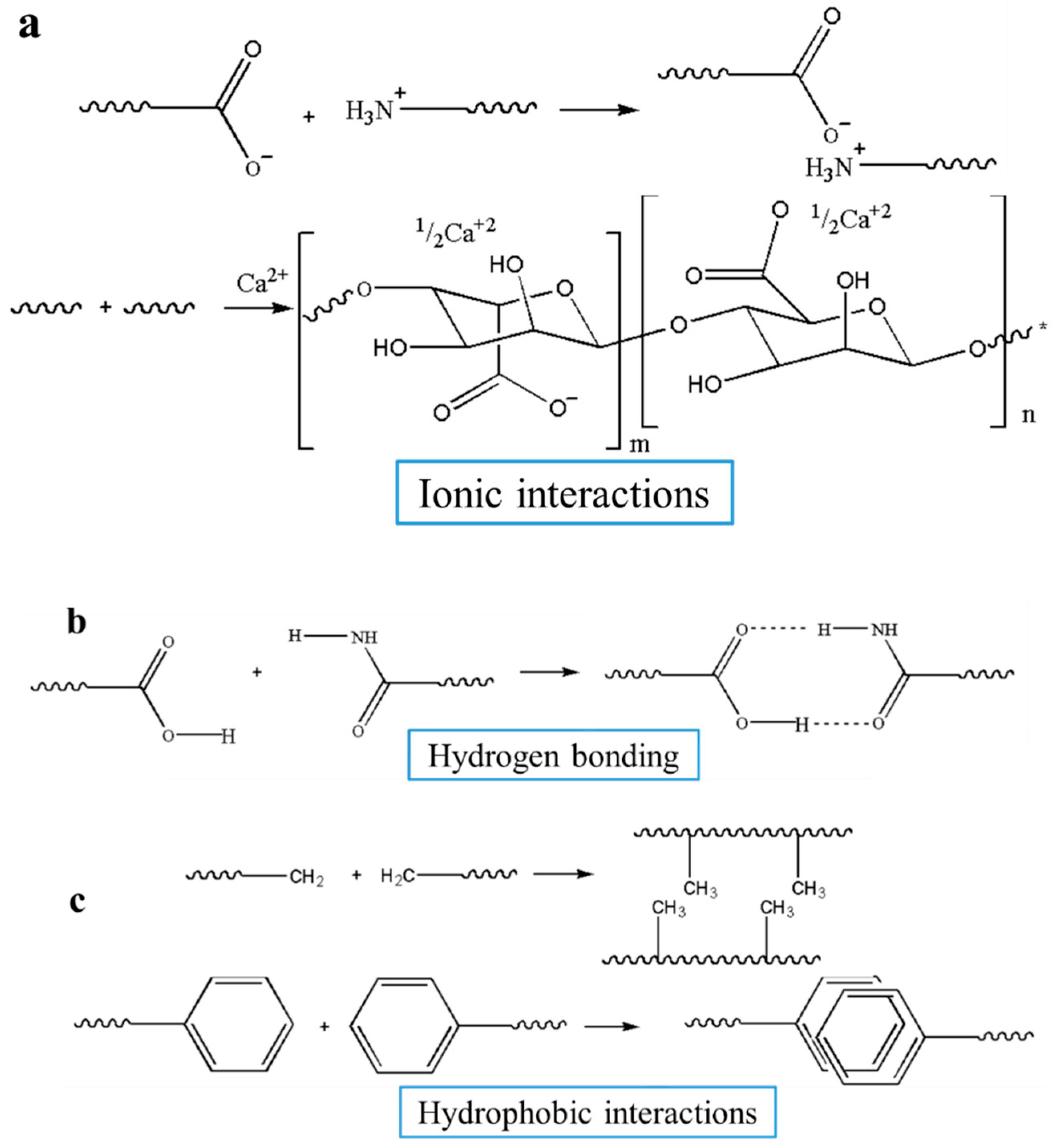 Nanomaterials 10 01511 g006