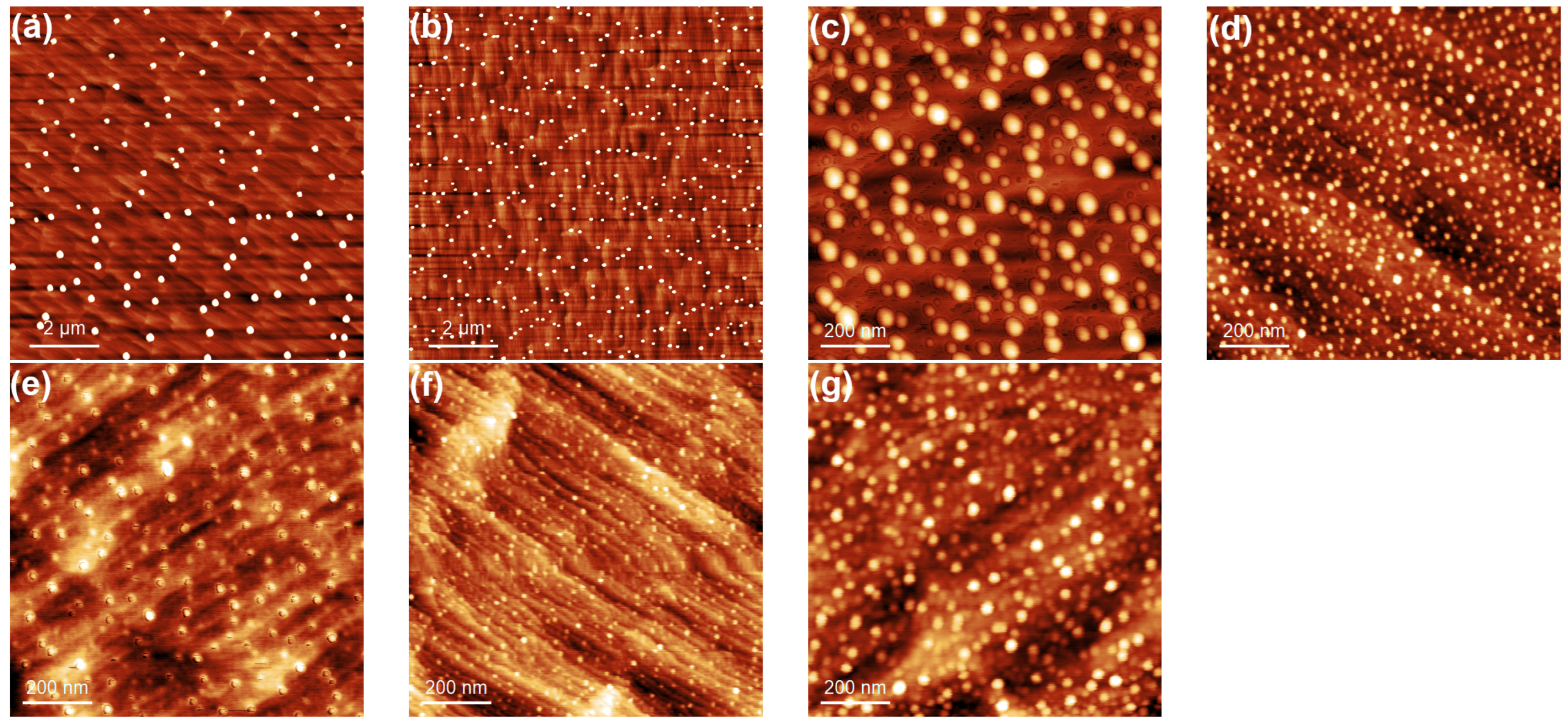 Nanomaterials 10 01512 g001 Nanomaterials 10 01512 g001