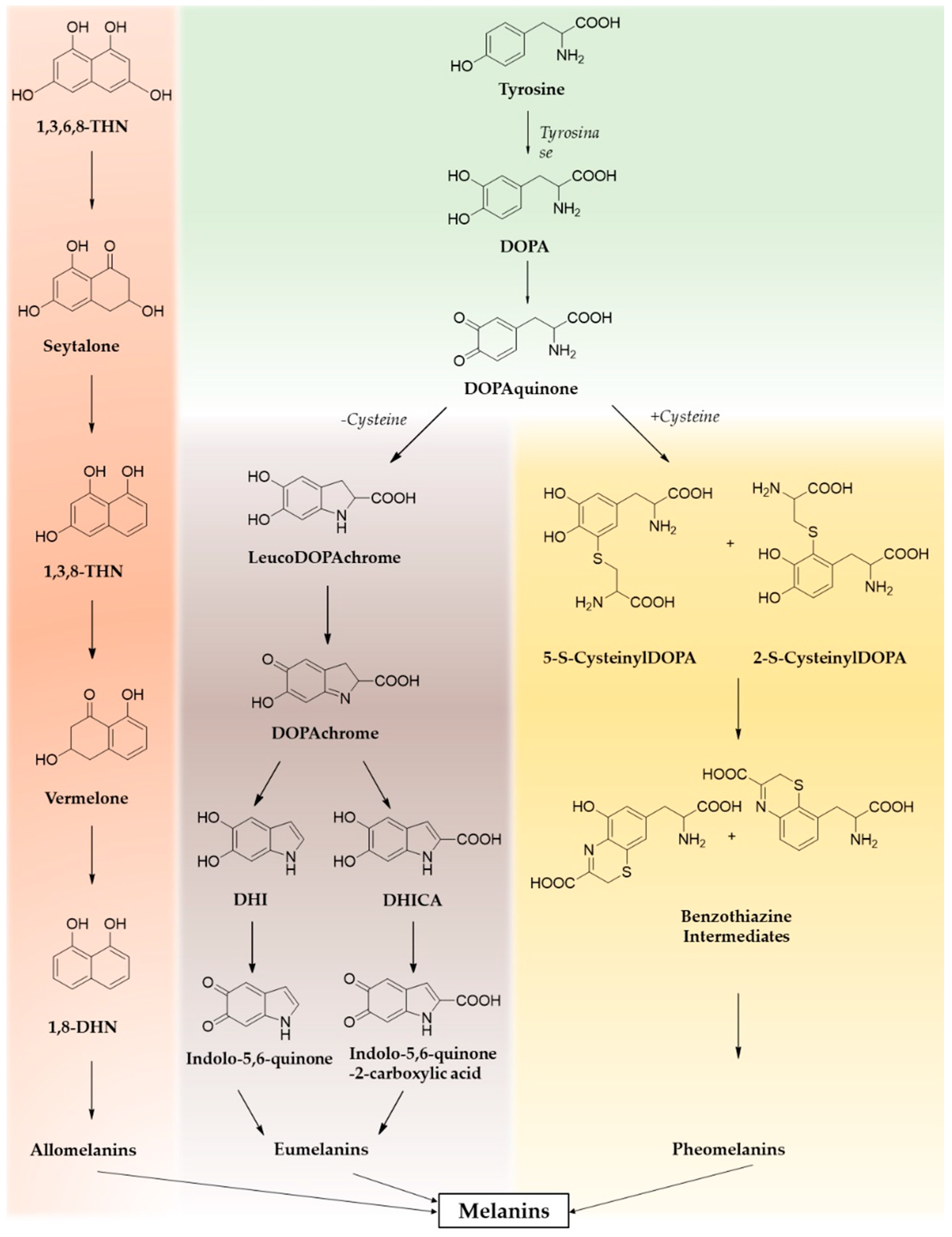 Nanomaterials 10 01518 g001 Nanomaterials 10 01518 g001