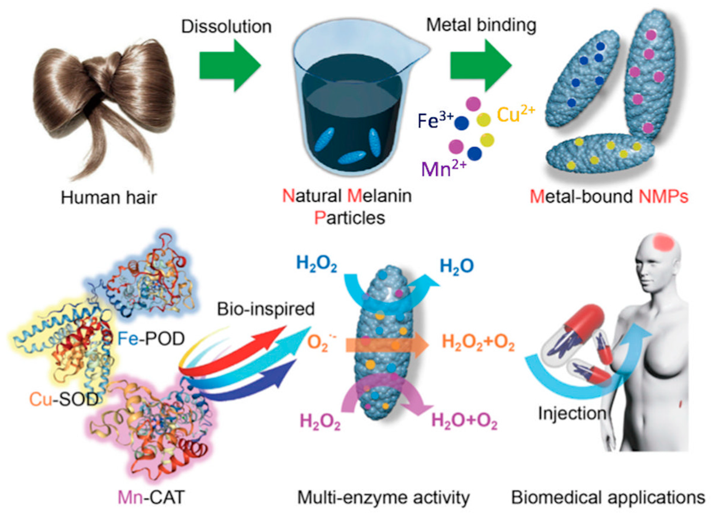 Nanomaterials 10 01518 g004 Nanomaterials 10 01518 g004