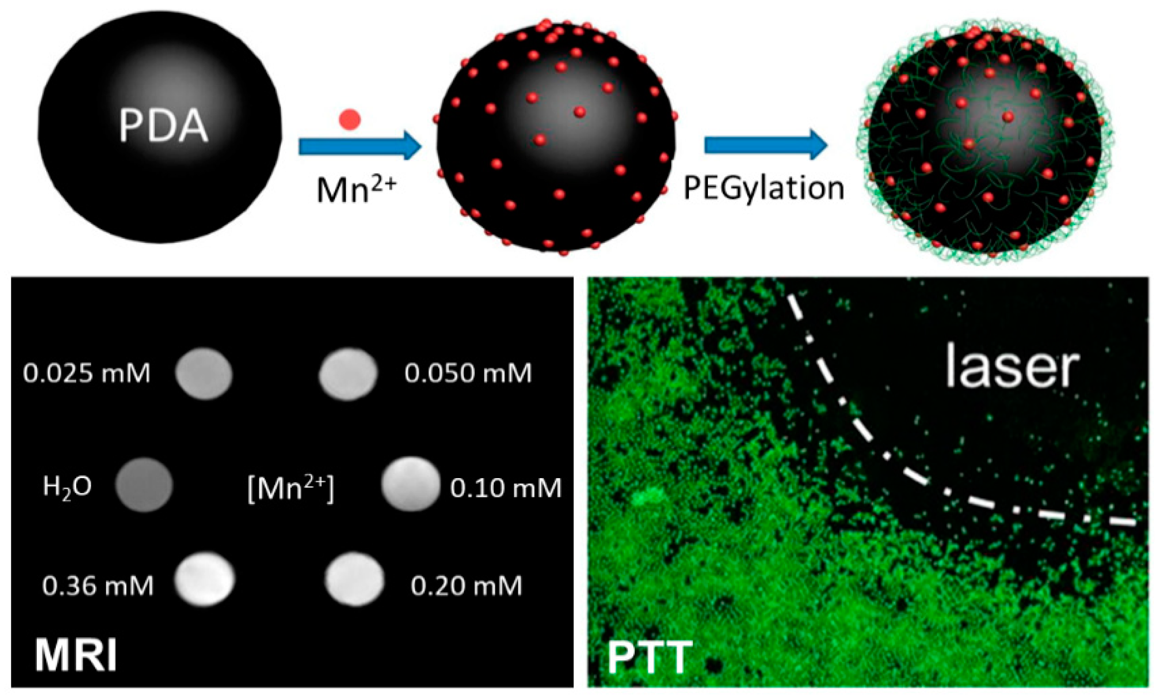 Nanomaterials 10 01518 g007 Nanomaterials 10 01518 g007
