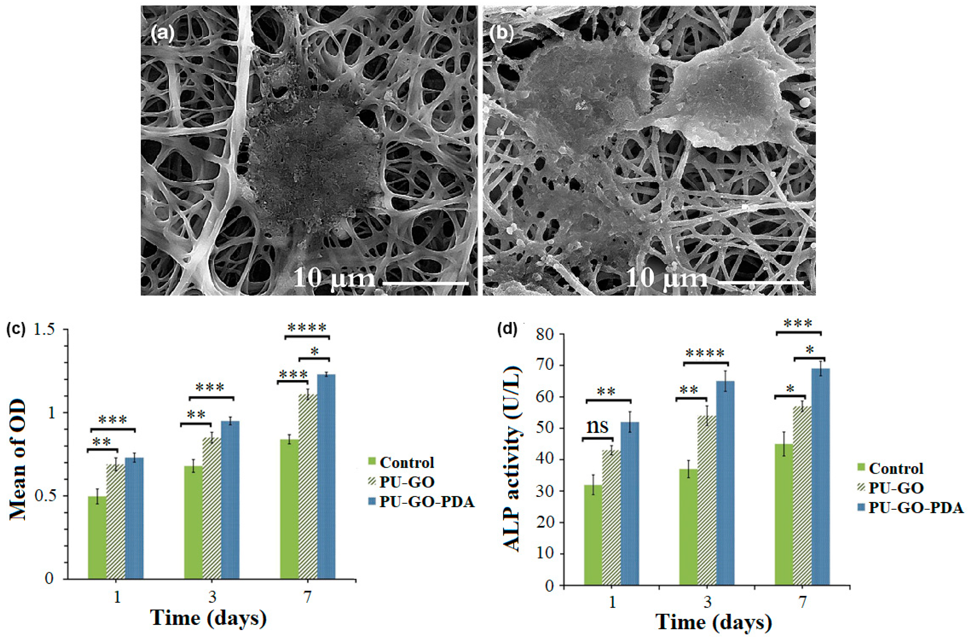 Nanomaterials 10 01518 g015 Nanomaterials 10 01518 g015
