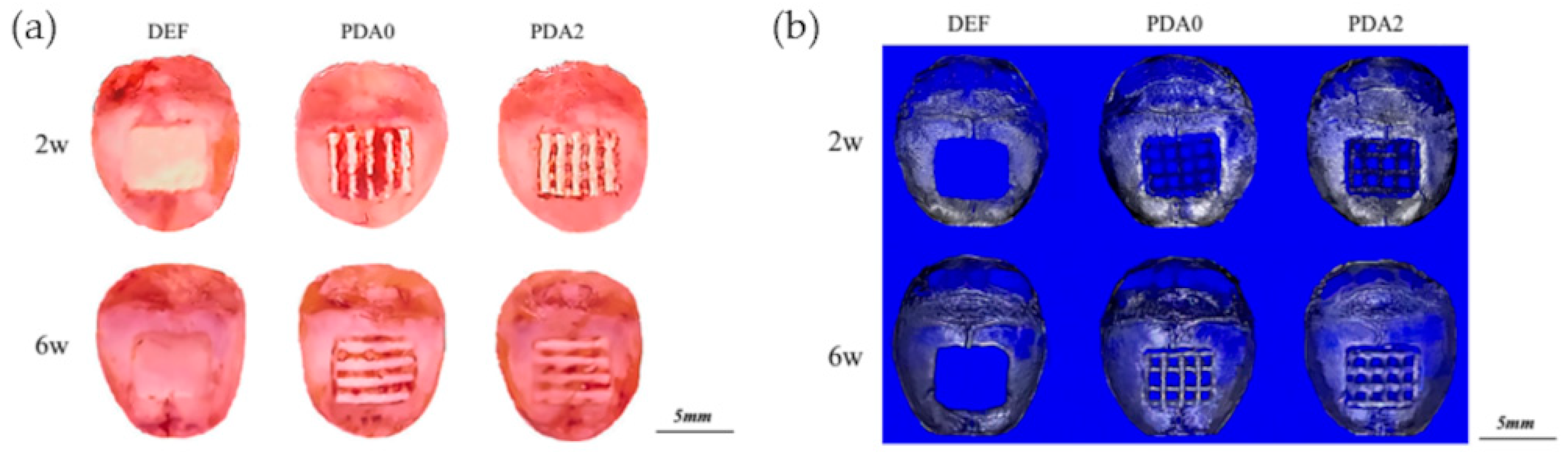 Nanomaterials 10 01518 g016 Nanomaterials 10 01518 g016