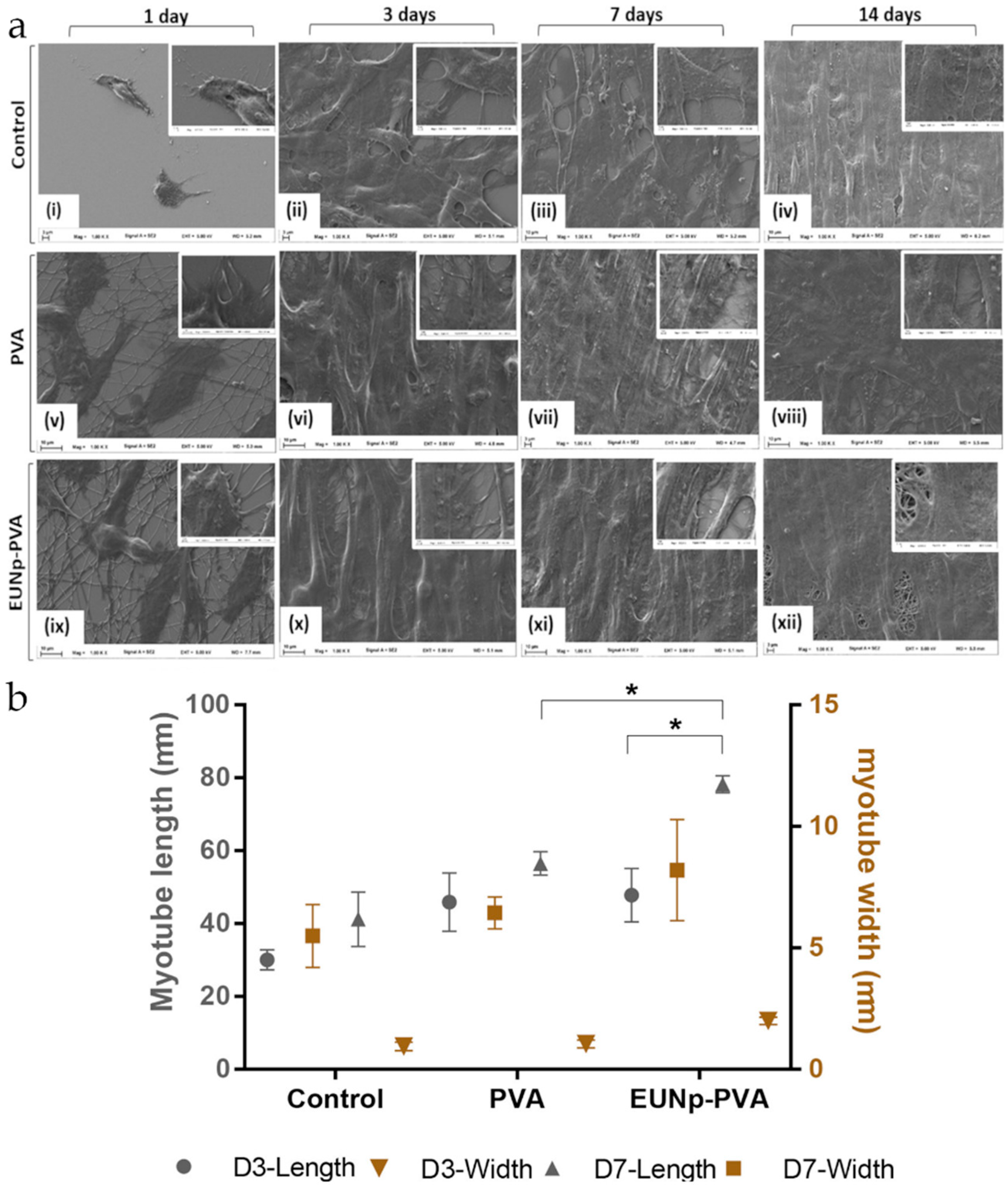 Nanomaterials 10 01518 g017 Nanomaterials 10 01518 g017