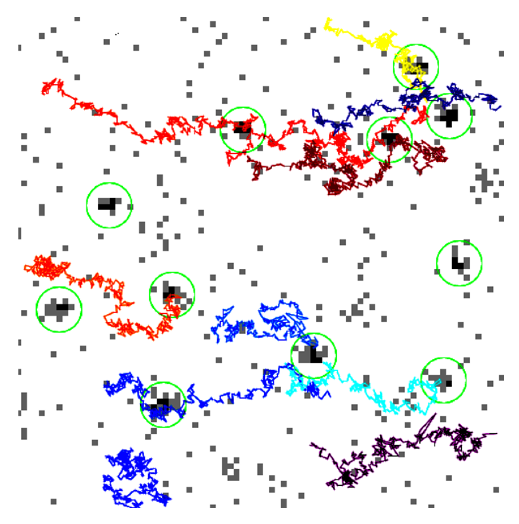 Nanomaterials 10 01519 g005