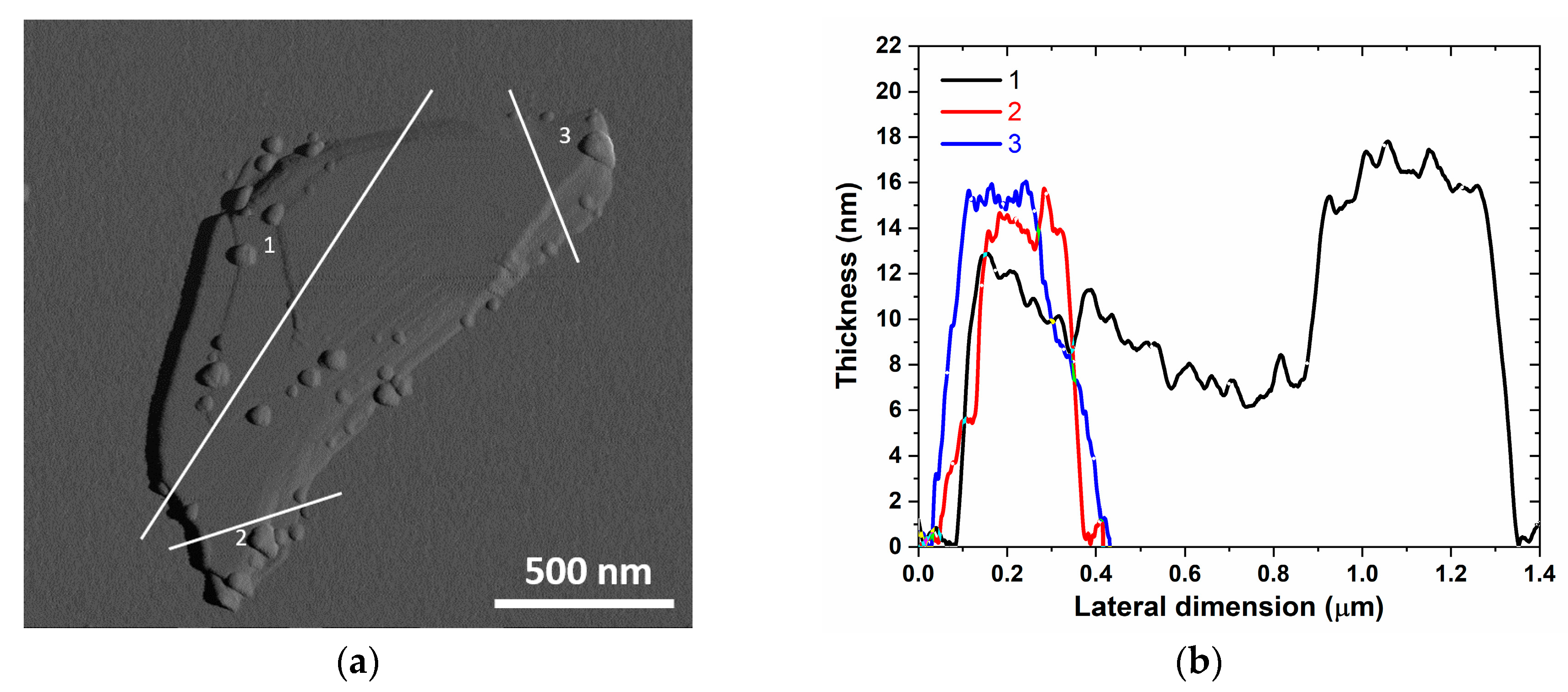 Nanomaterials 10 01520 g002