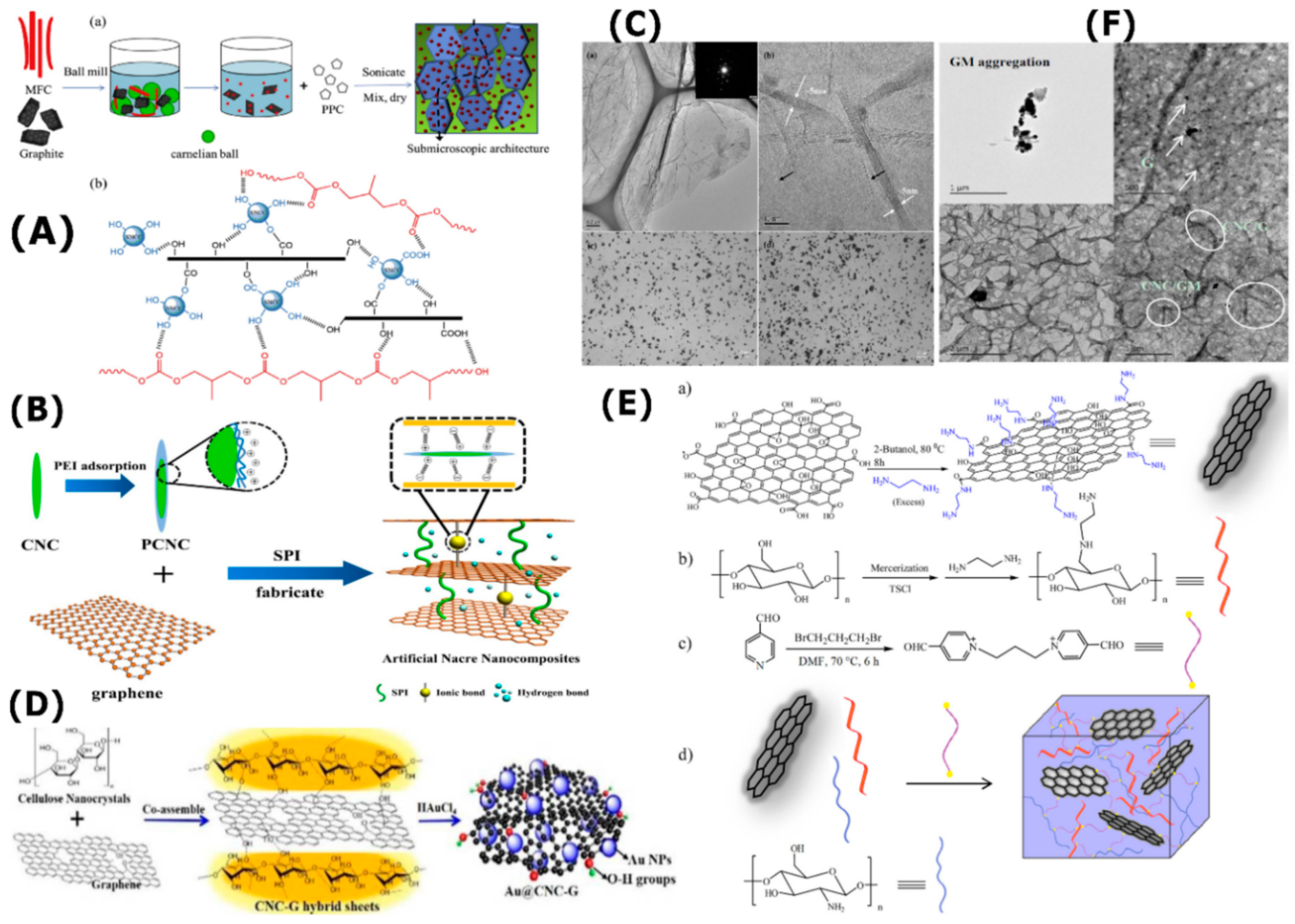 Nanomaterials 10 01523 g005