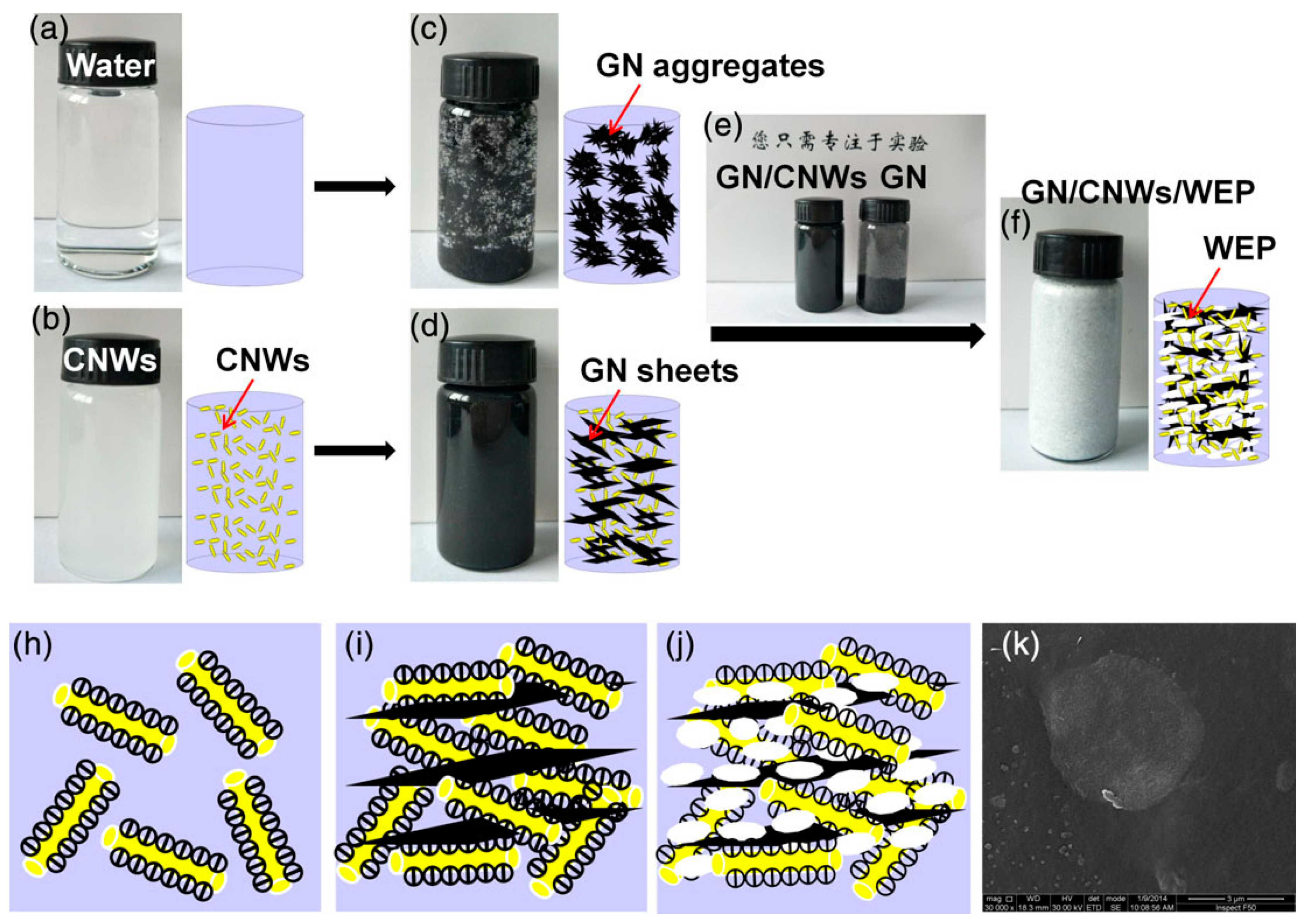Nanomaterials 10 01523 g006