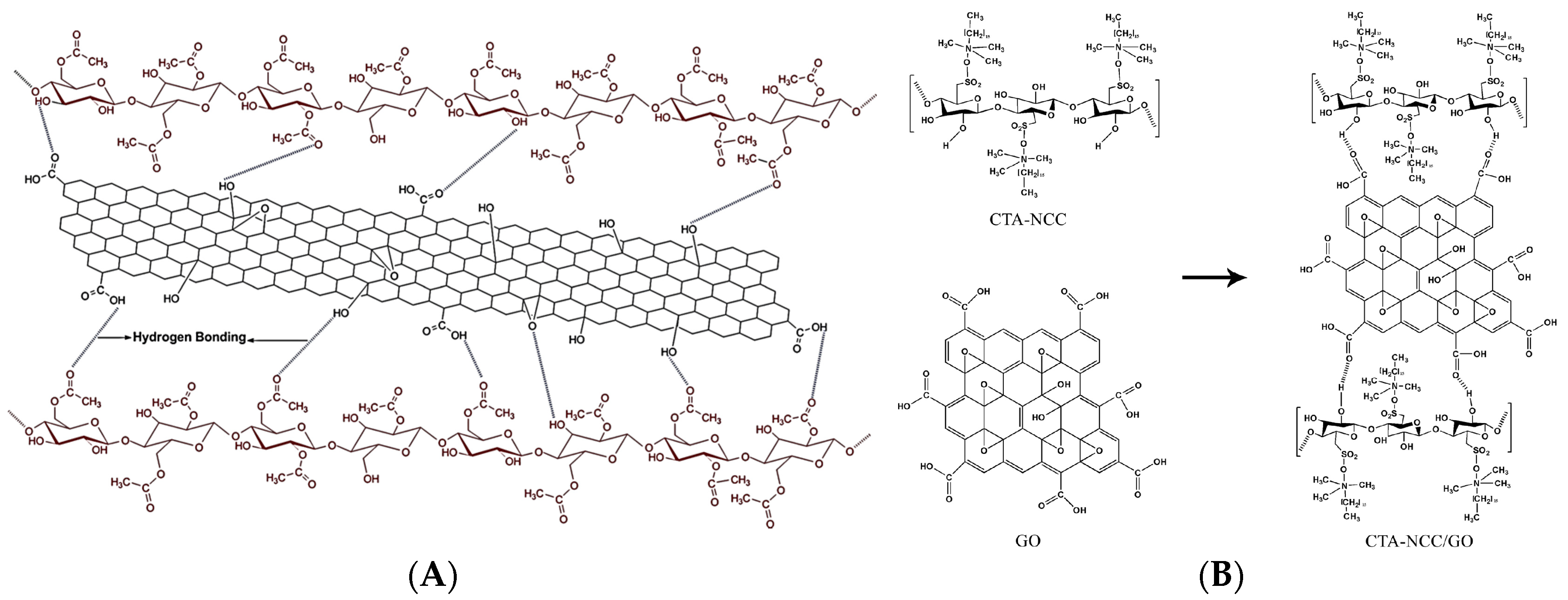 Nanomaterials 10 01523 g008
