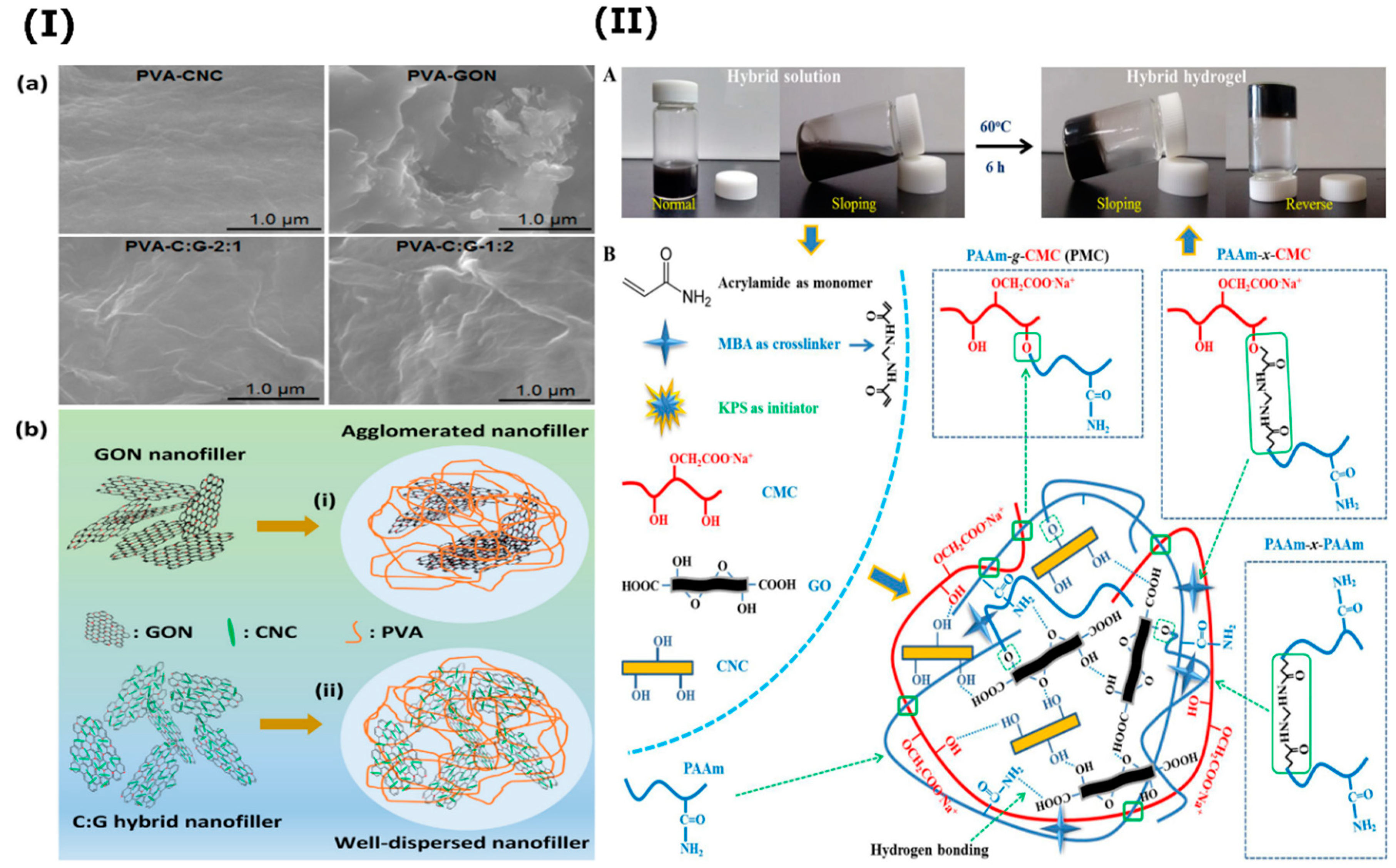 Nanomaterials 10 01523 g011