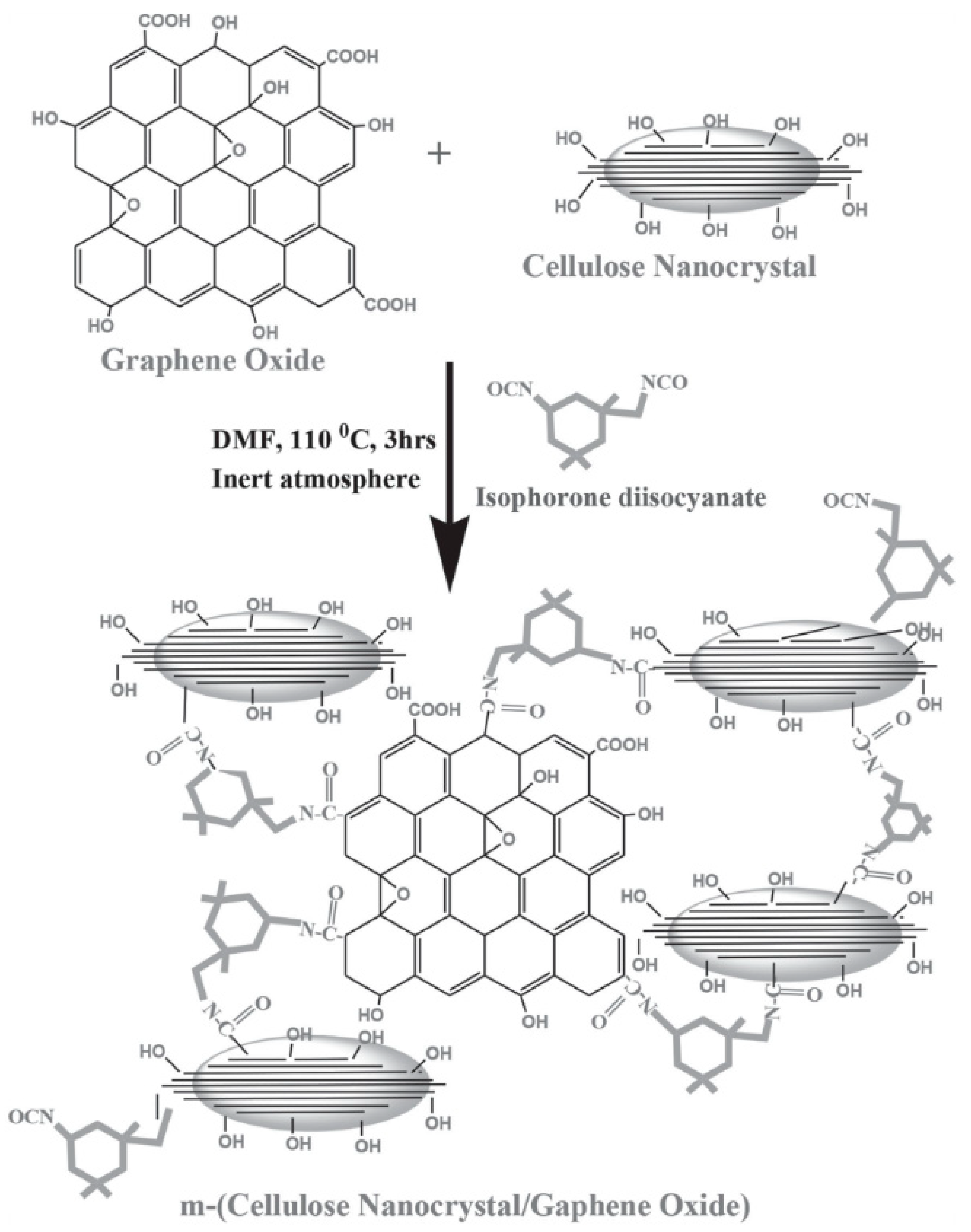 Nanomaterials 10 01523 g015