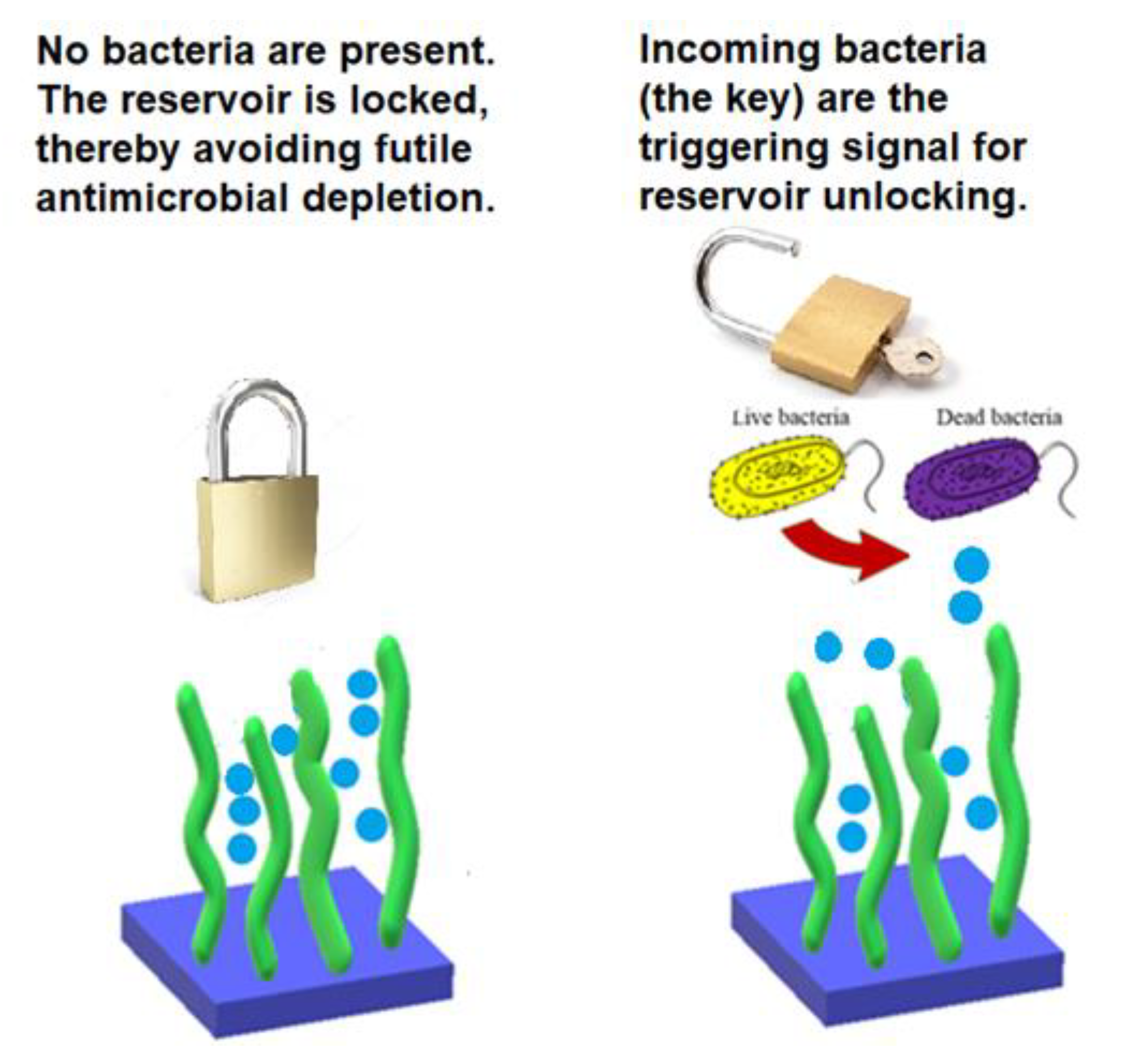 Nanomaterials 10 01527 g009
