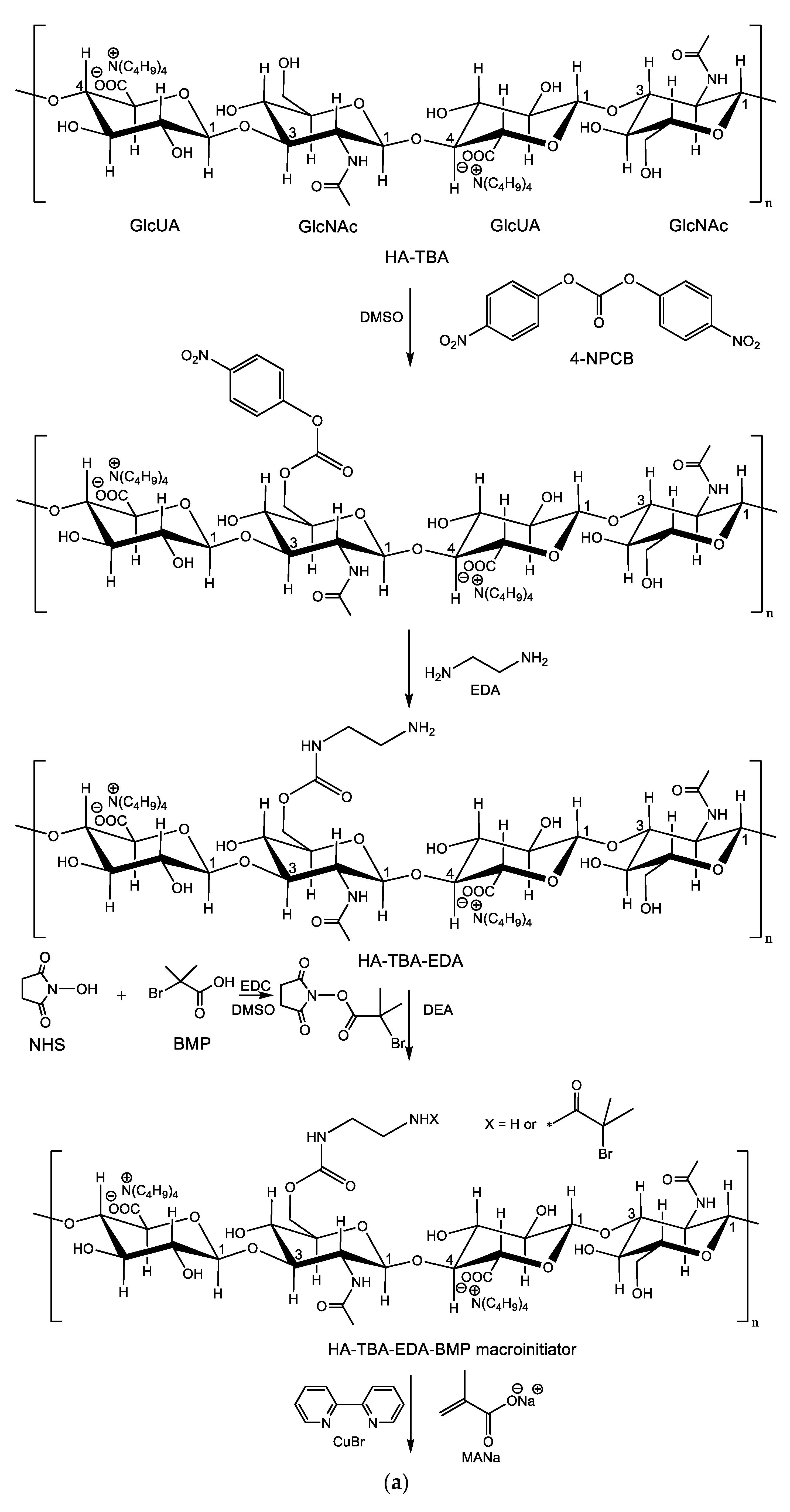 Nanomaterials 10 01527 sch015a