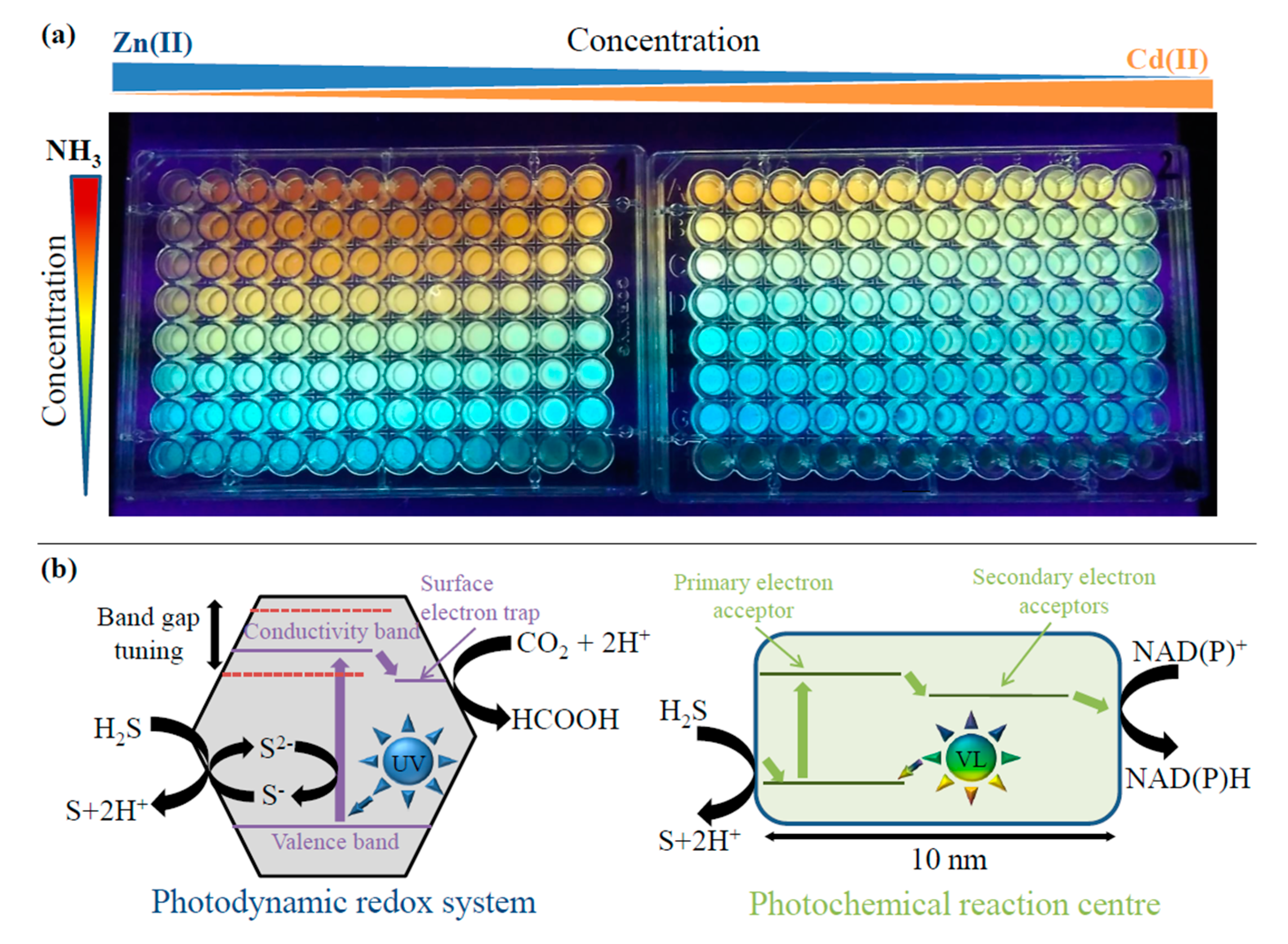 Nanomaterials 10 01529 g002 Nanomaterials 10 01529 g002