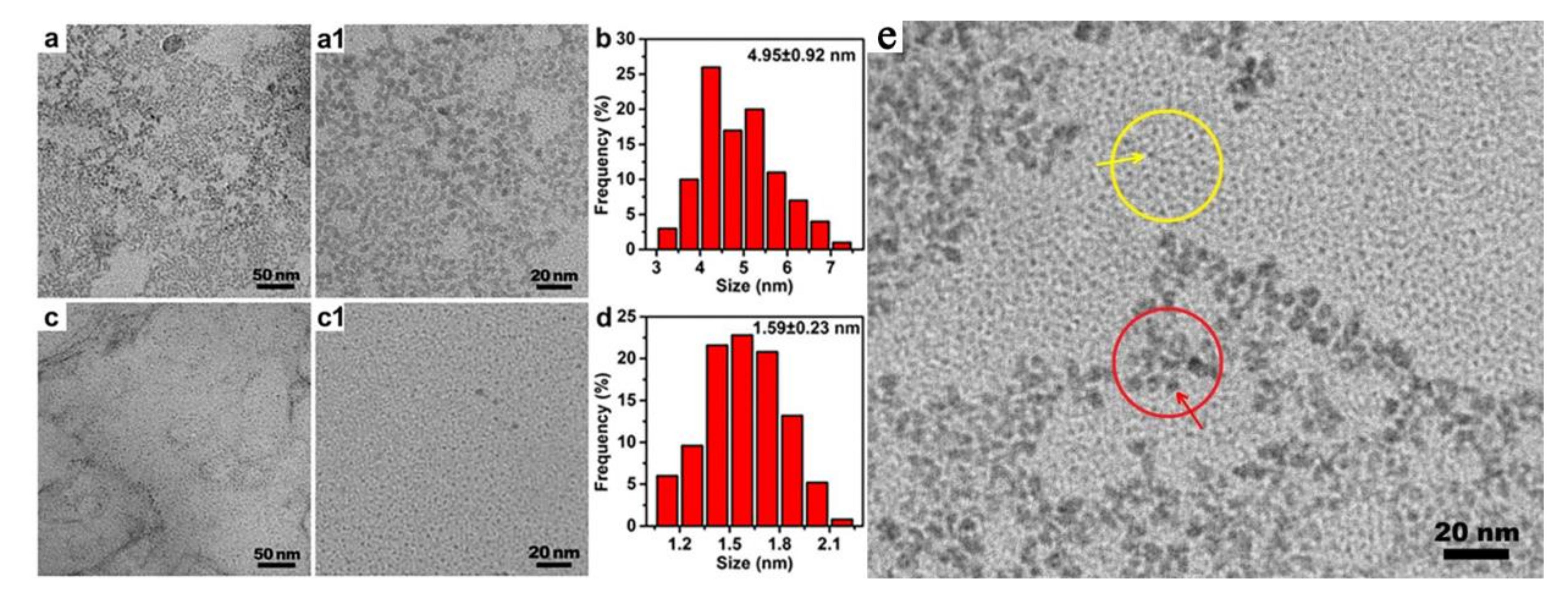 Nanomaterials 10 01531 g004