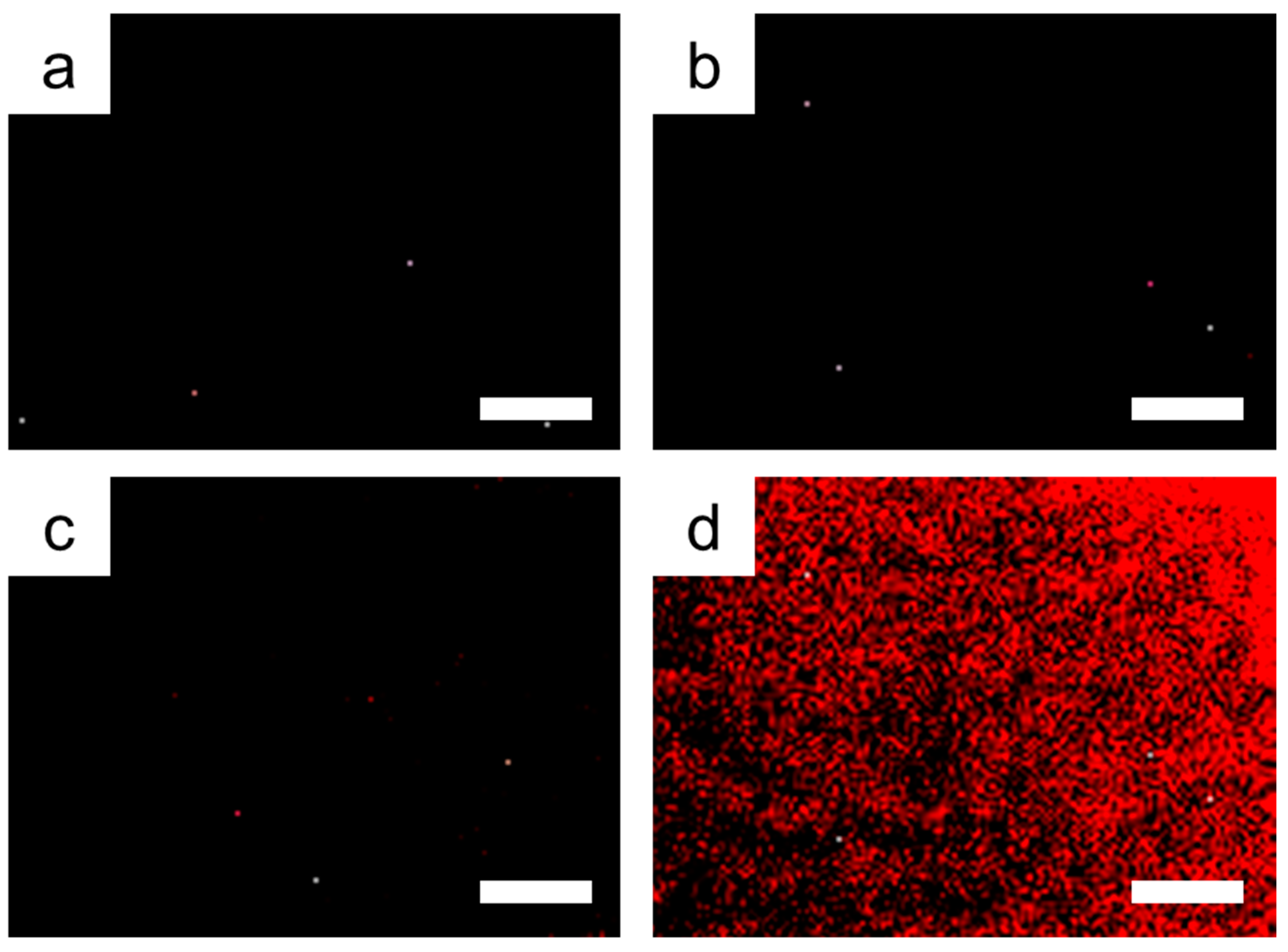 Nanomaterials 10 01533 g003