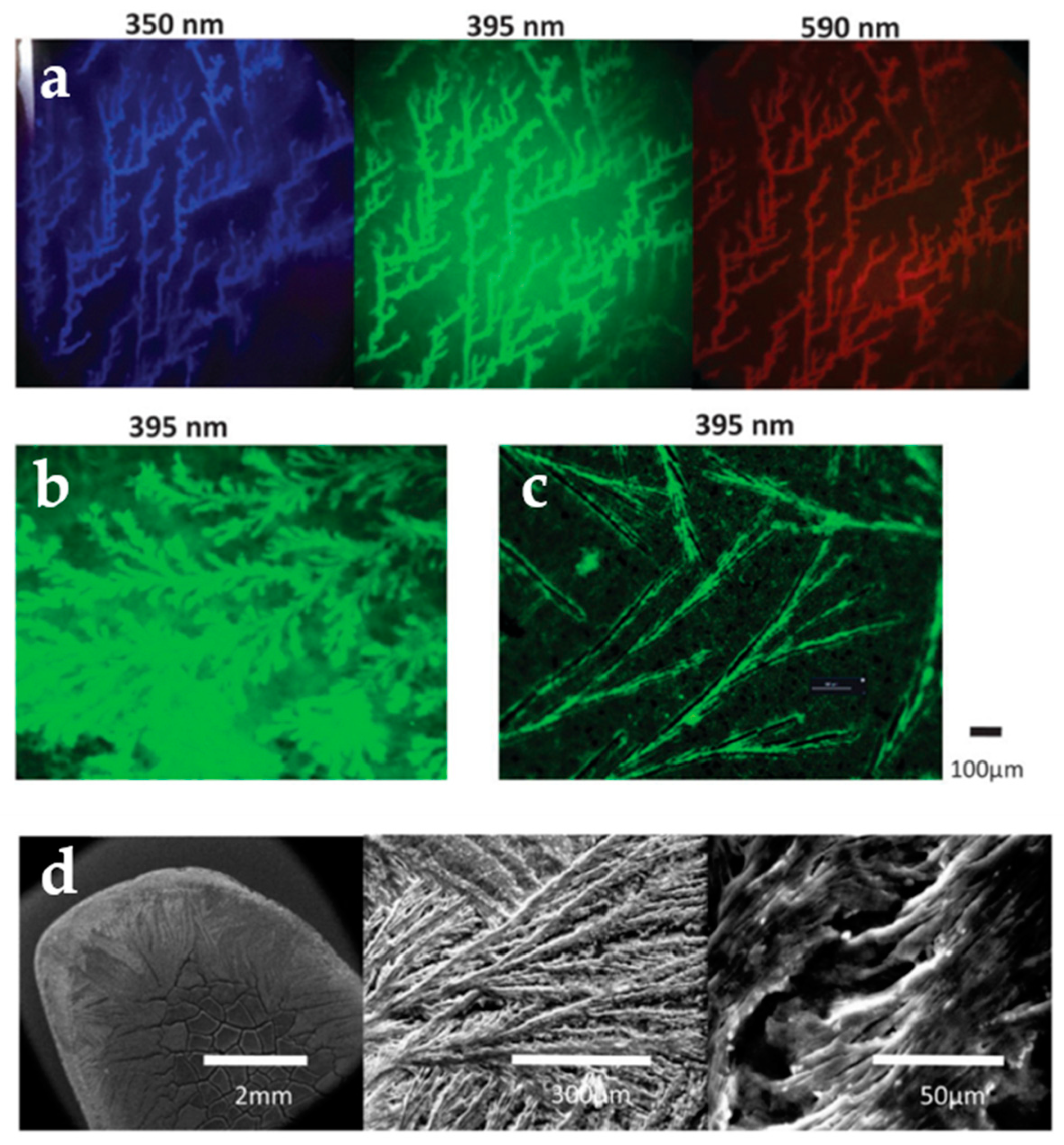 Nanomaterials 10 01535 g007 Nanomaterials 10 01535 g007