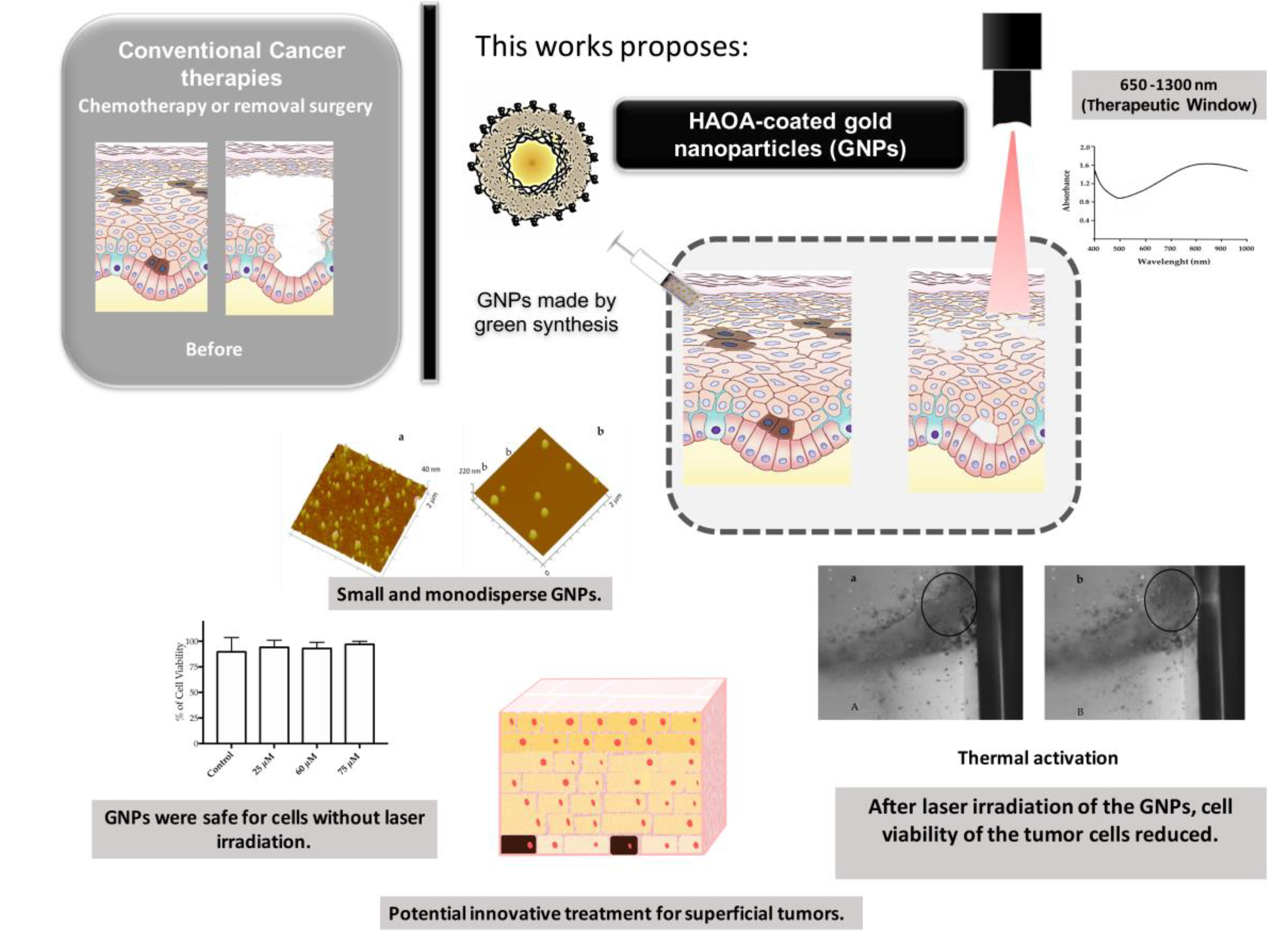 Nanomaterials 10 01536 g001