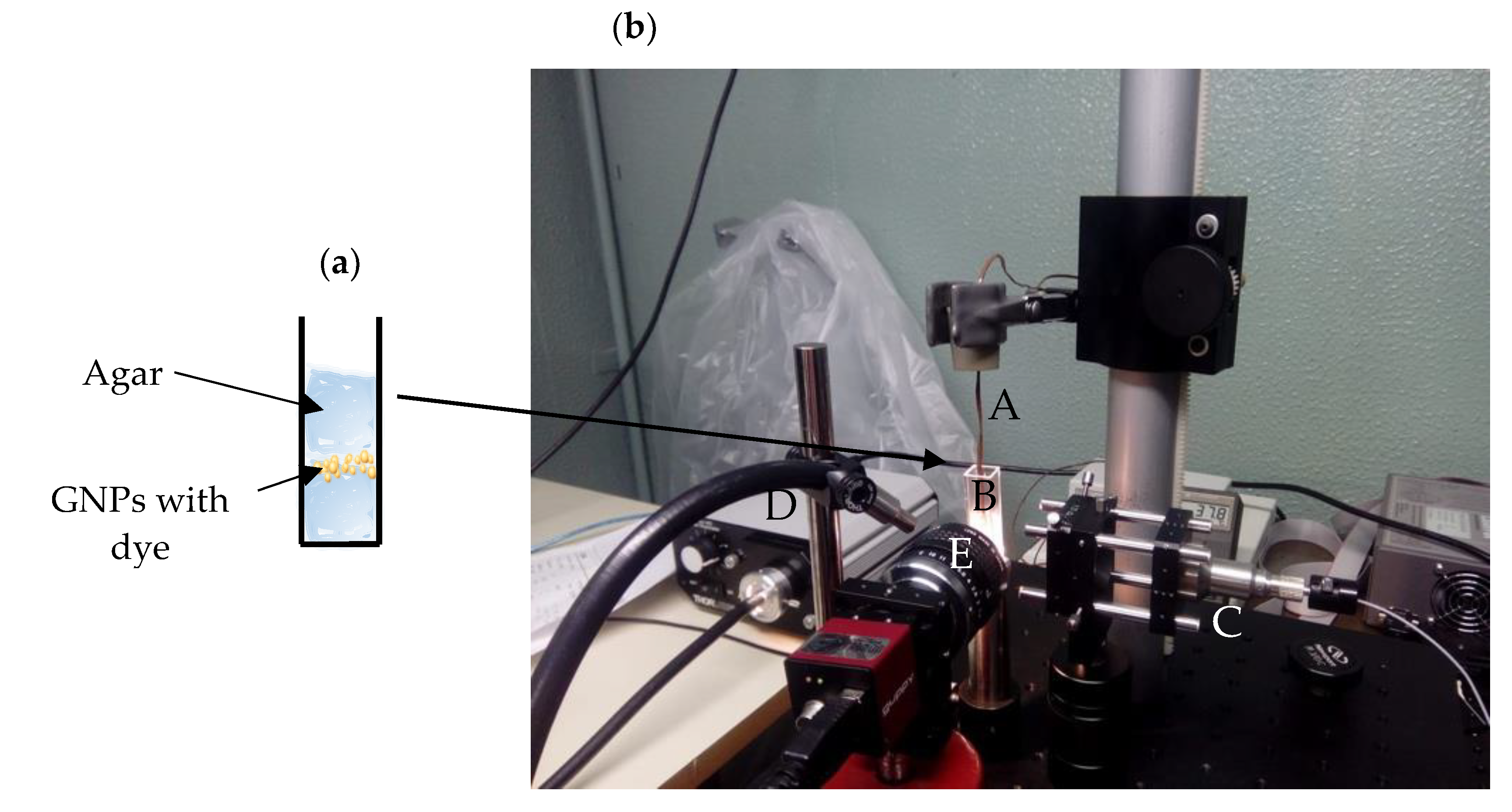 Nanomaterials 10 01536 g002