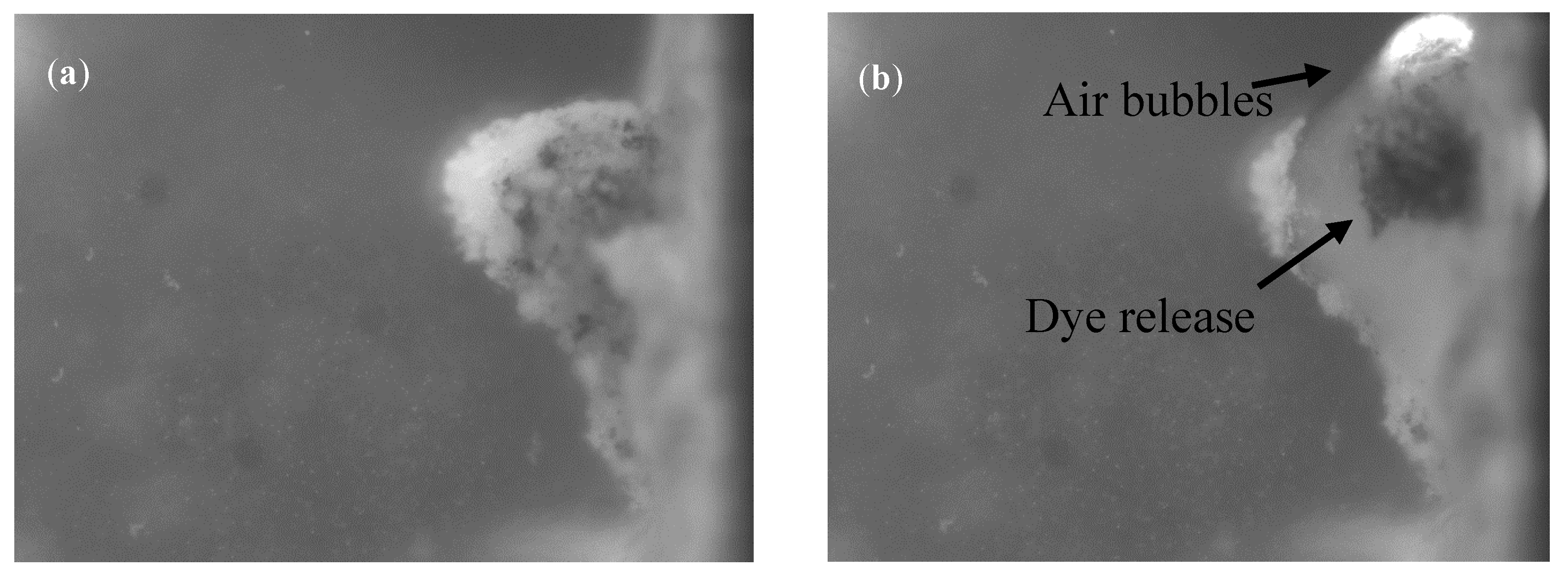 Nanomaterials 10 01536 g006
